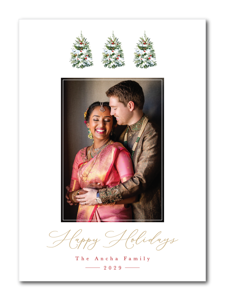 The Ancha Family Christmas Card